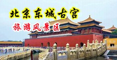 啊啊啊啊不要操中国北京-东城古宫旅游风景区